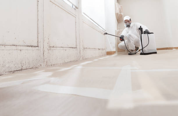 24/7 Emergency Mold Testing experts in Allendale, MI