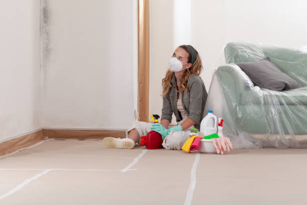 Reliable Mold Testing contractor in Allendale, MI by WQB Mold Removal